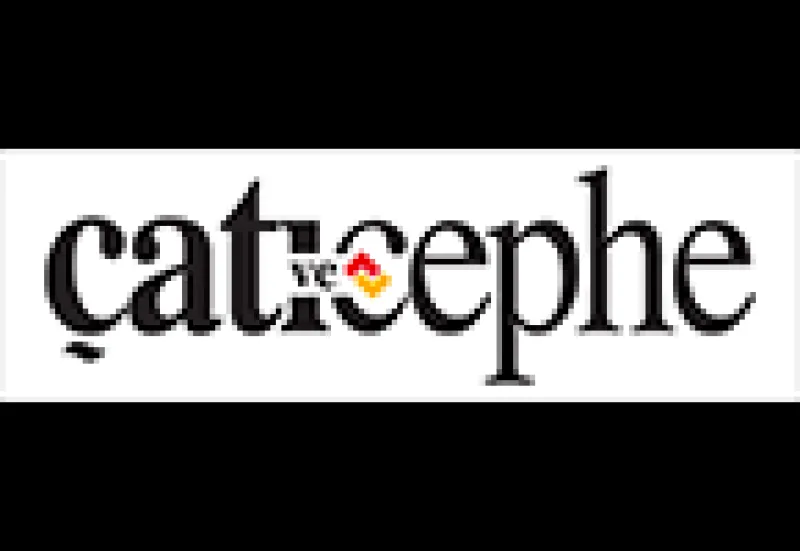 Media Partner