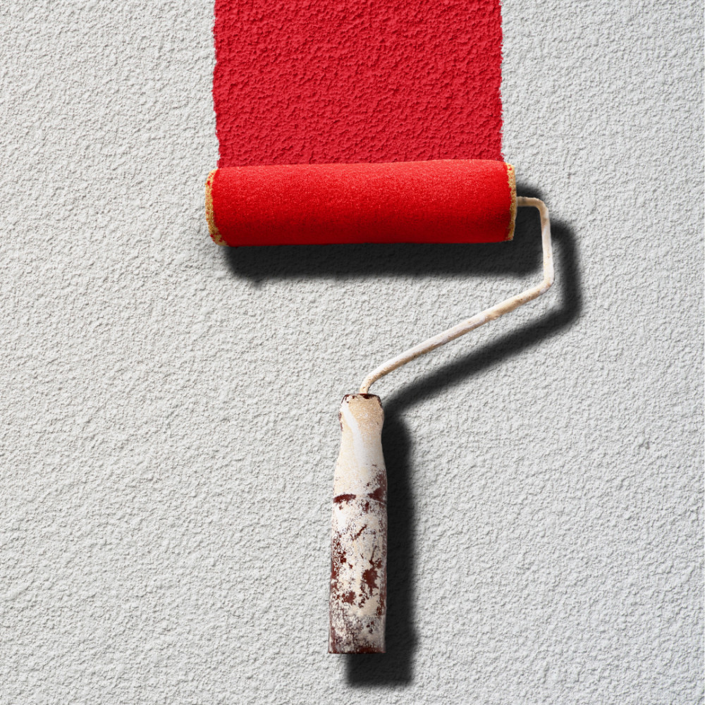 Paint & Decorative Plaster