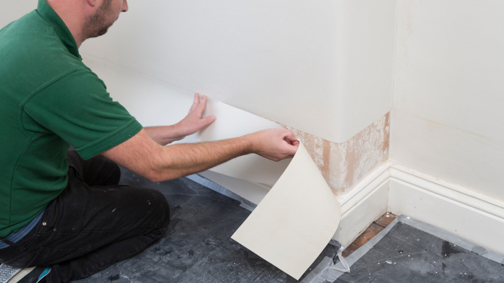 Wall and Ceiling Paneling / Molding / Ceilings
